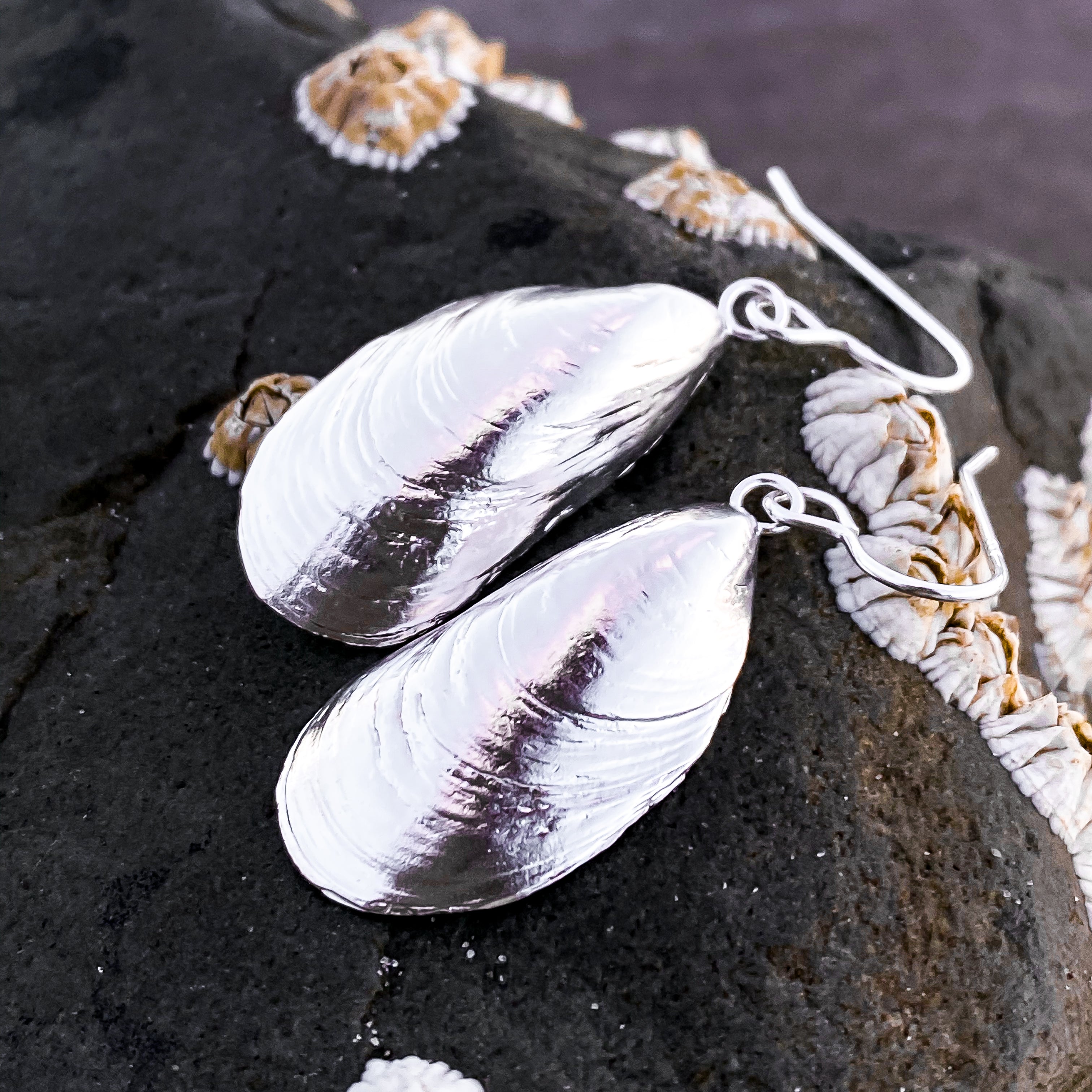 Sterling Silver Mussel Shell Earrings