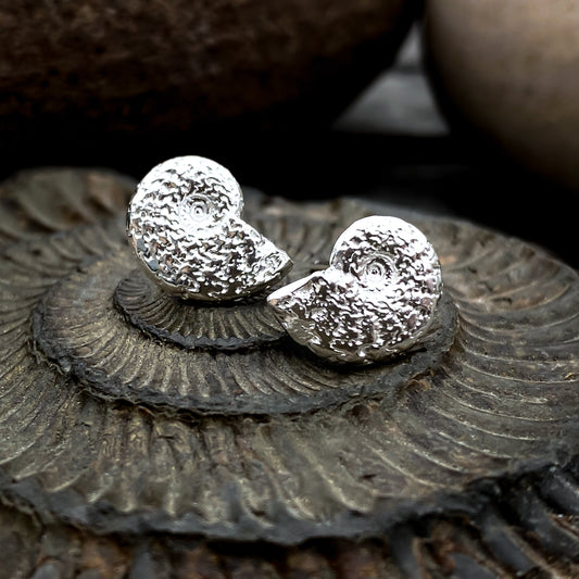 Silver Ammonite Fossil Stud Earrings