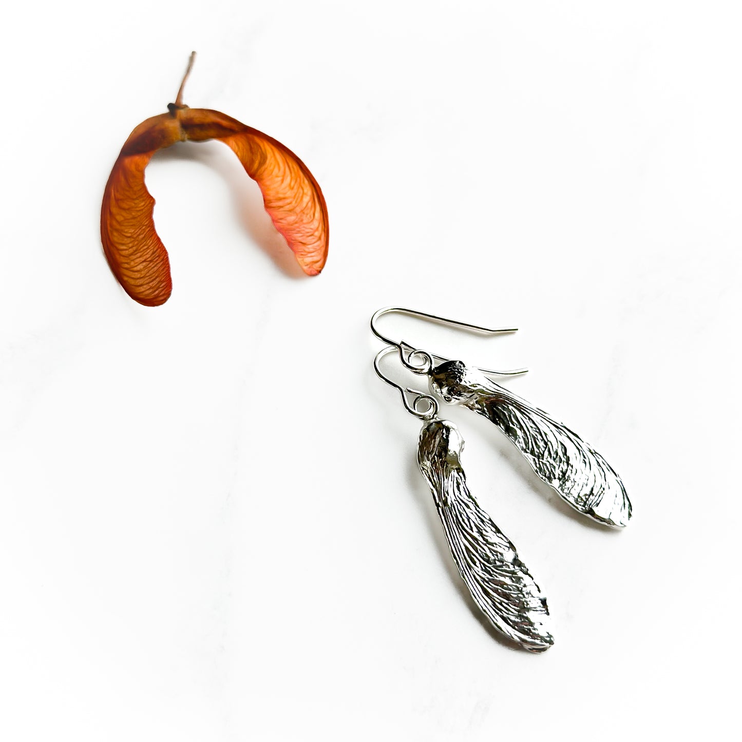 Sterling Silver Sycamore Earrings