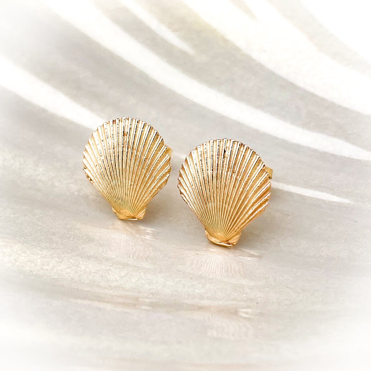 Gold Queen Scallop Shell Stud Earrings