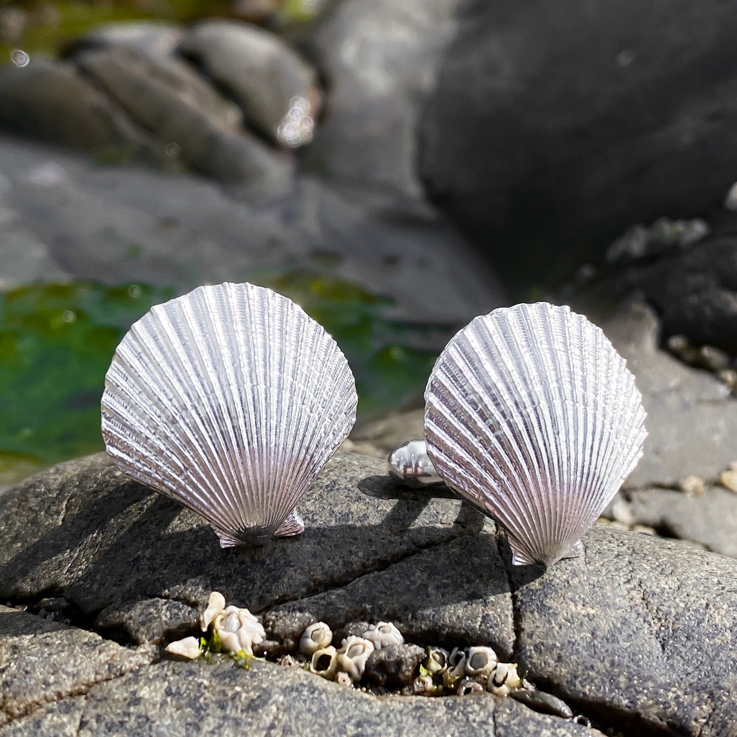 Sterling Silver Scallop Shell Cufflinks - Queenie Shells