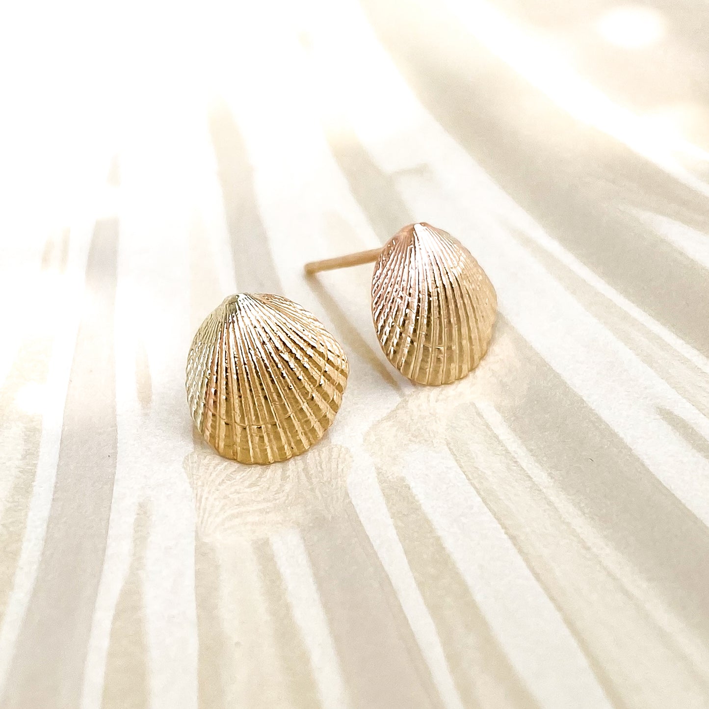 Gold Cockle Shell Stud Earrings