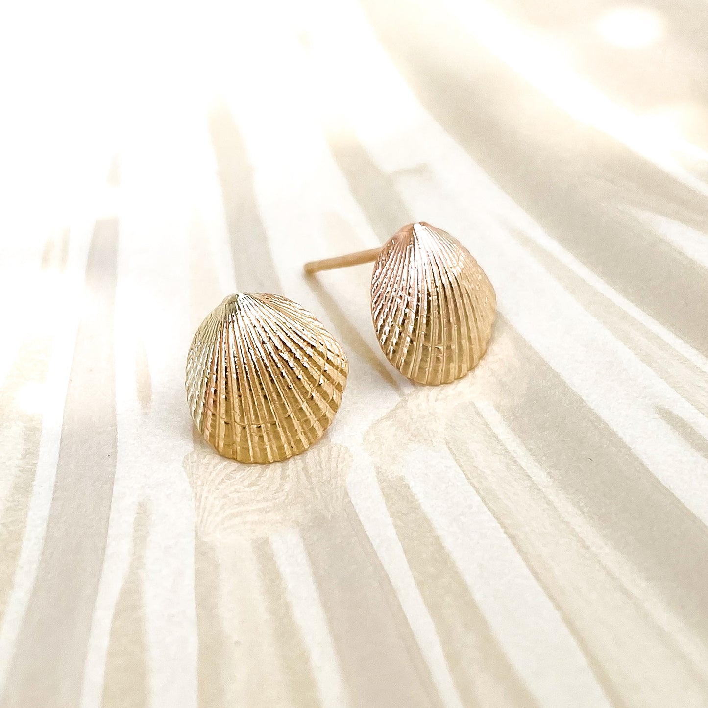 Gold Queen Scallop Shell Stud Earrings – Element Isle