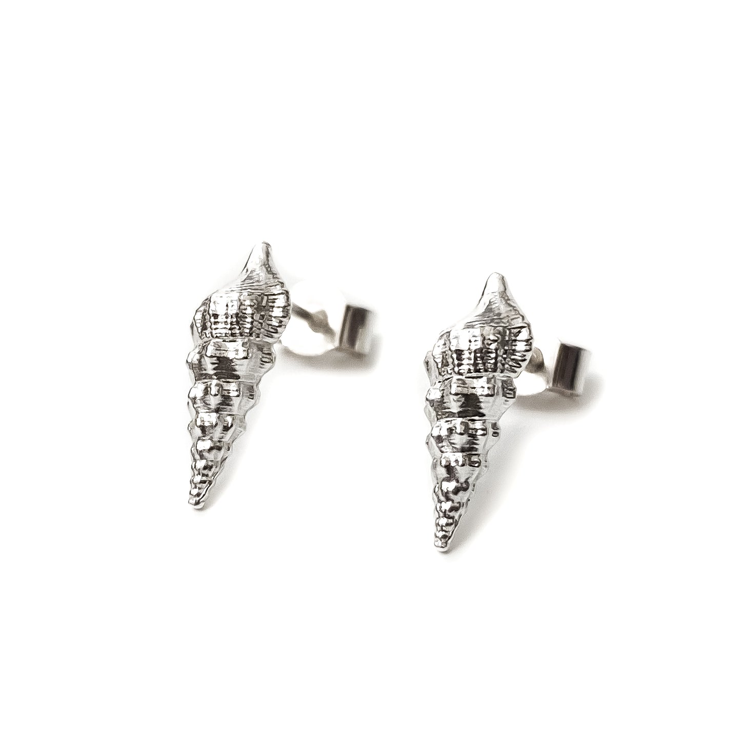 Turritella Shell Sterling Silver Stud Earrings