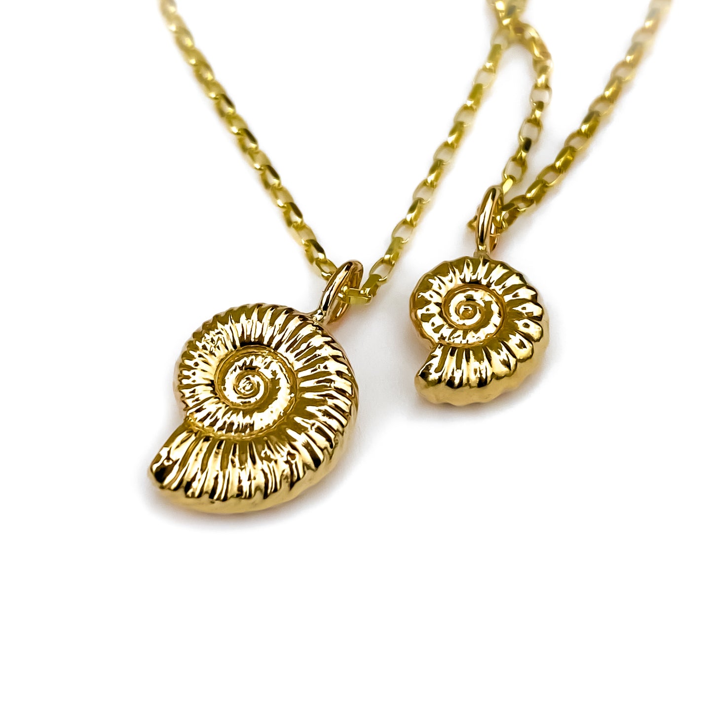 Gold Ammonite Necklace