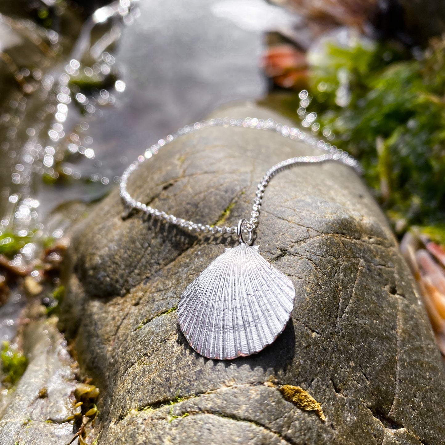 Sterling Silver Scallop Shell Necklace - Queenie Shell