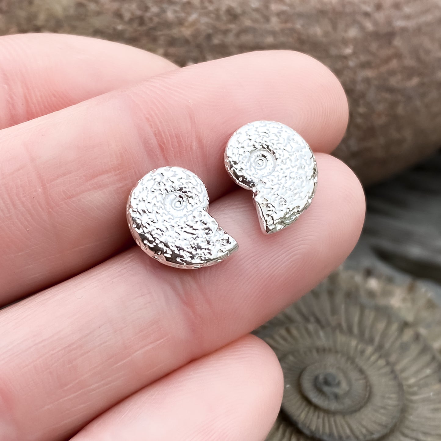 Silver Ammonite Fossil Stud Earrings