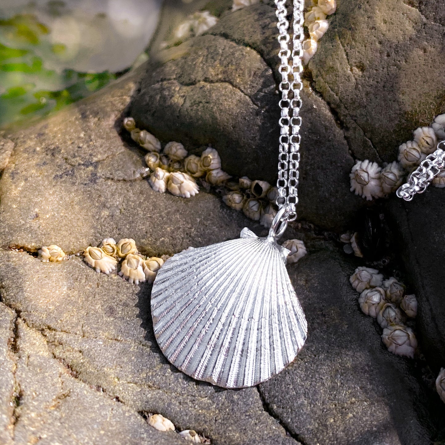 Sterling Silver Scallop Shell Necklace - Queenie Shell