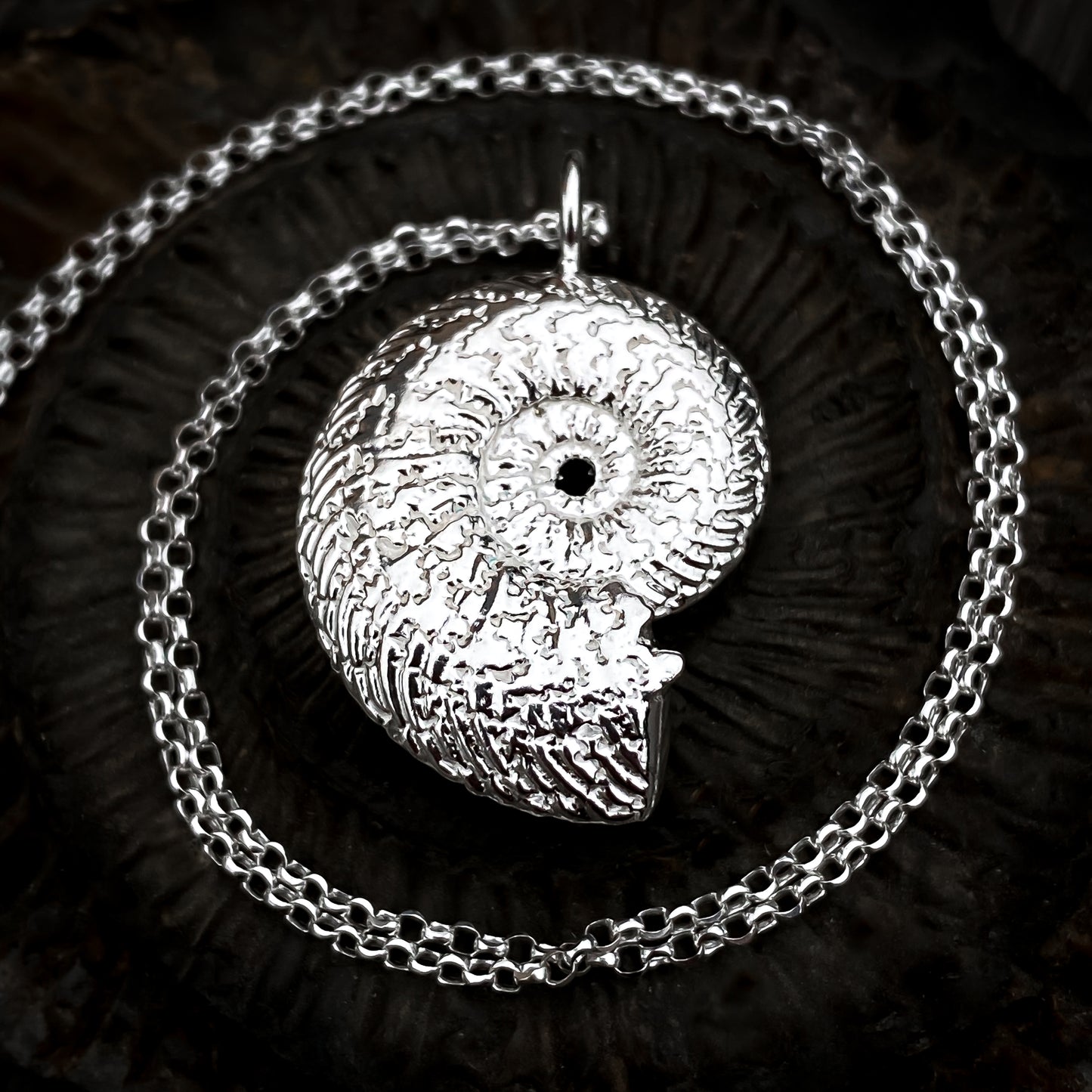 Sterling Silver Quenstedtoceras Ammonite Necklace