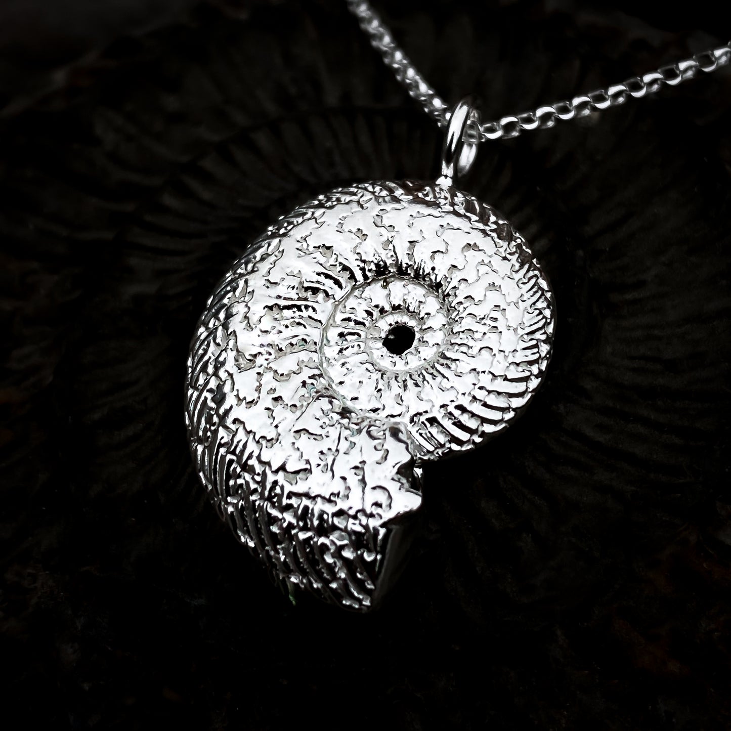 Sterling Silver Quenstedtoceras Ammonite Necklace