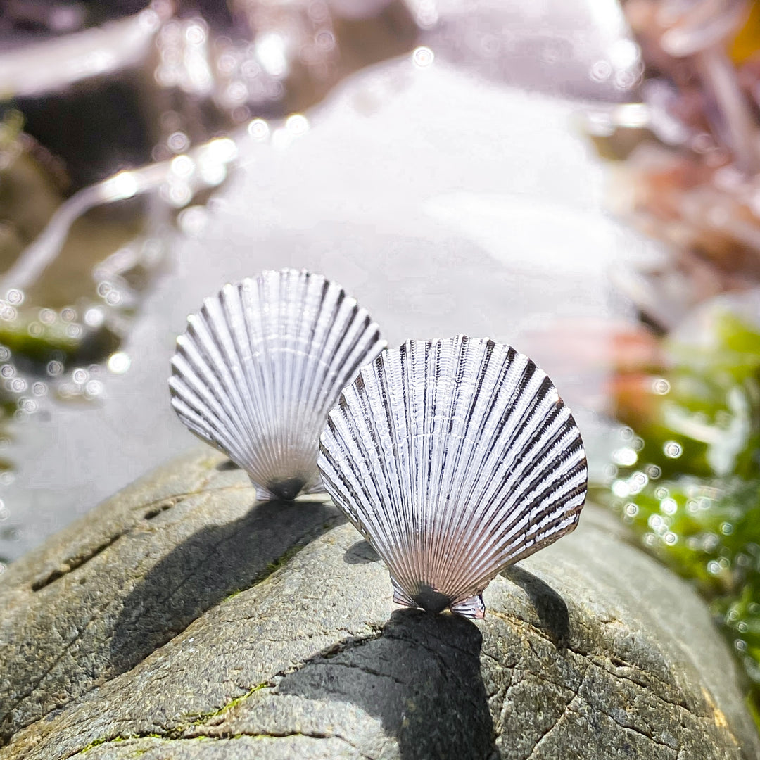 Gold Queen Scallop Shell Stud Earrings – Element Isle