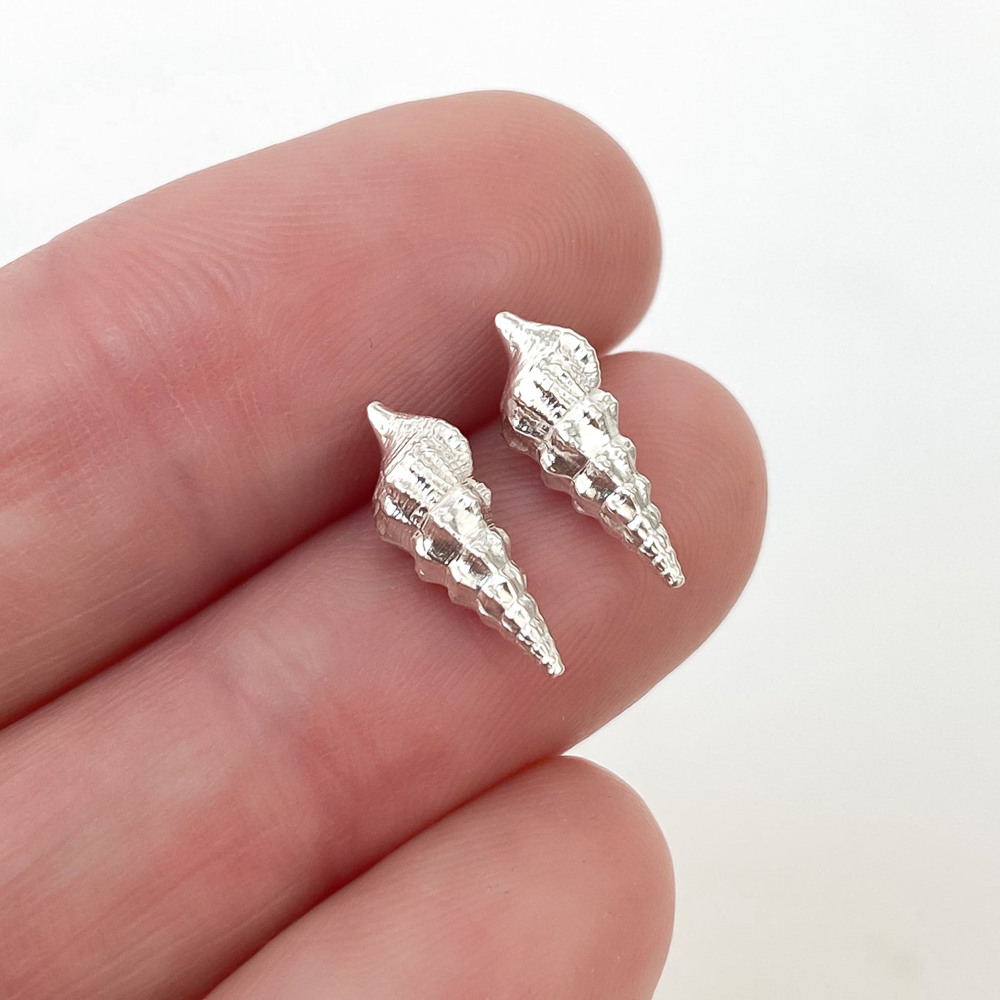 Turritella Shell Sterling Silver Stud Earrings