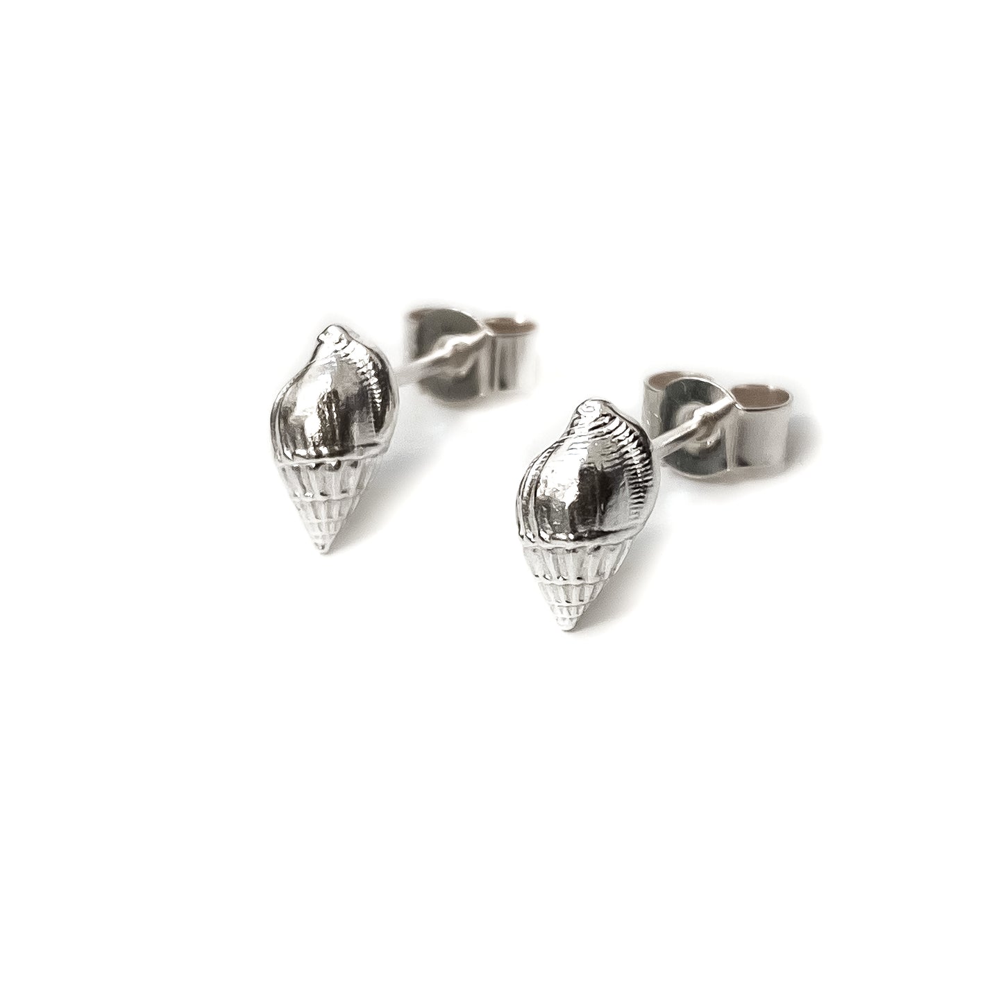 Silver Periwinkle Shell Stud Earrings