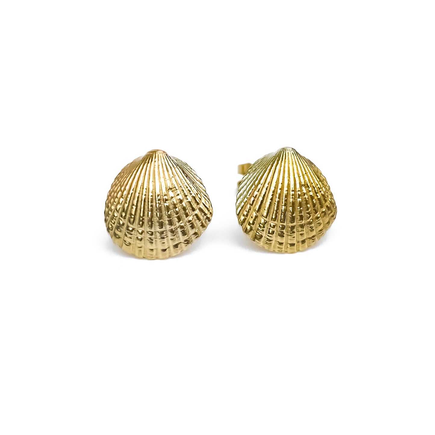 Gold Cockle Shell Stud Earrings