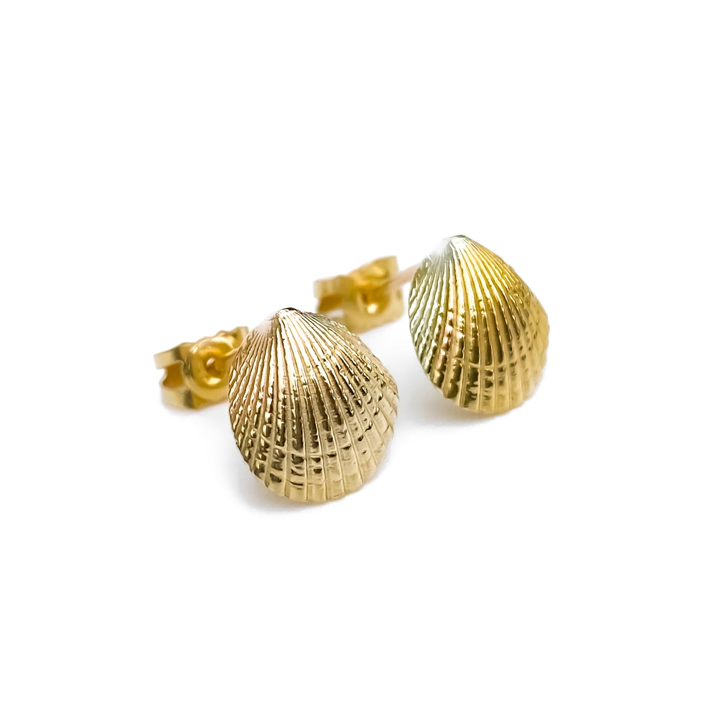 Gold Cockle Shell Stud Earrings