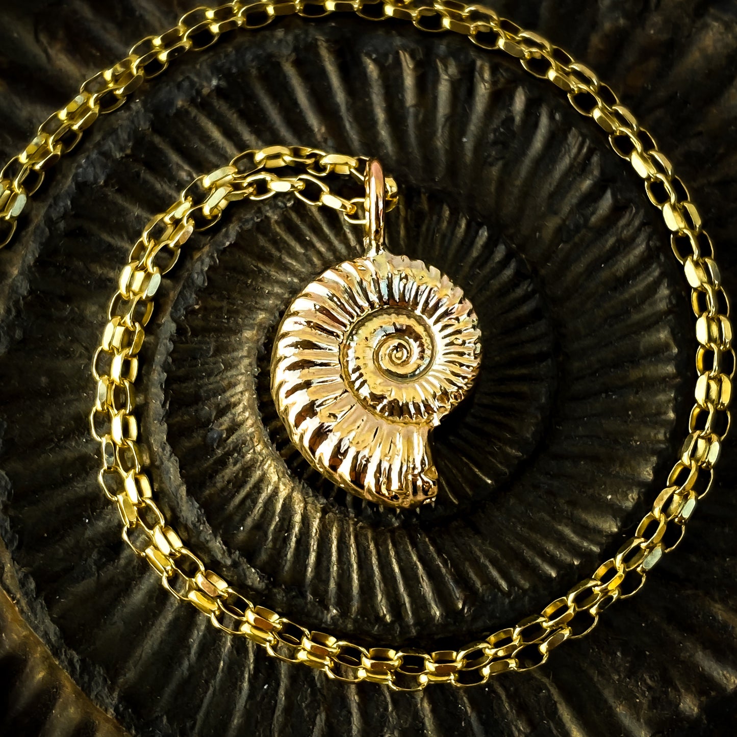 Gold Ammonite Necklace