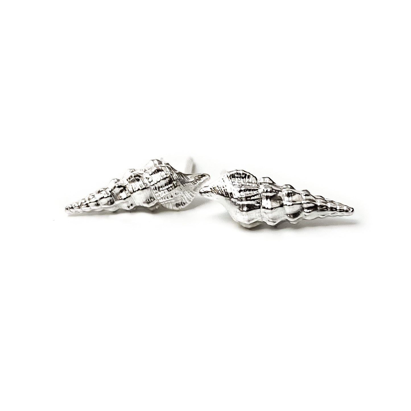 Turritella Shell Sterling Silver Stud Earrings