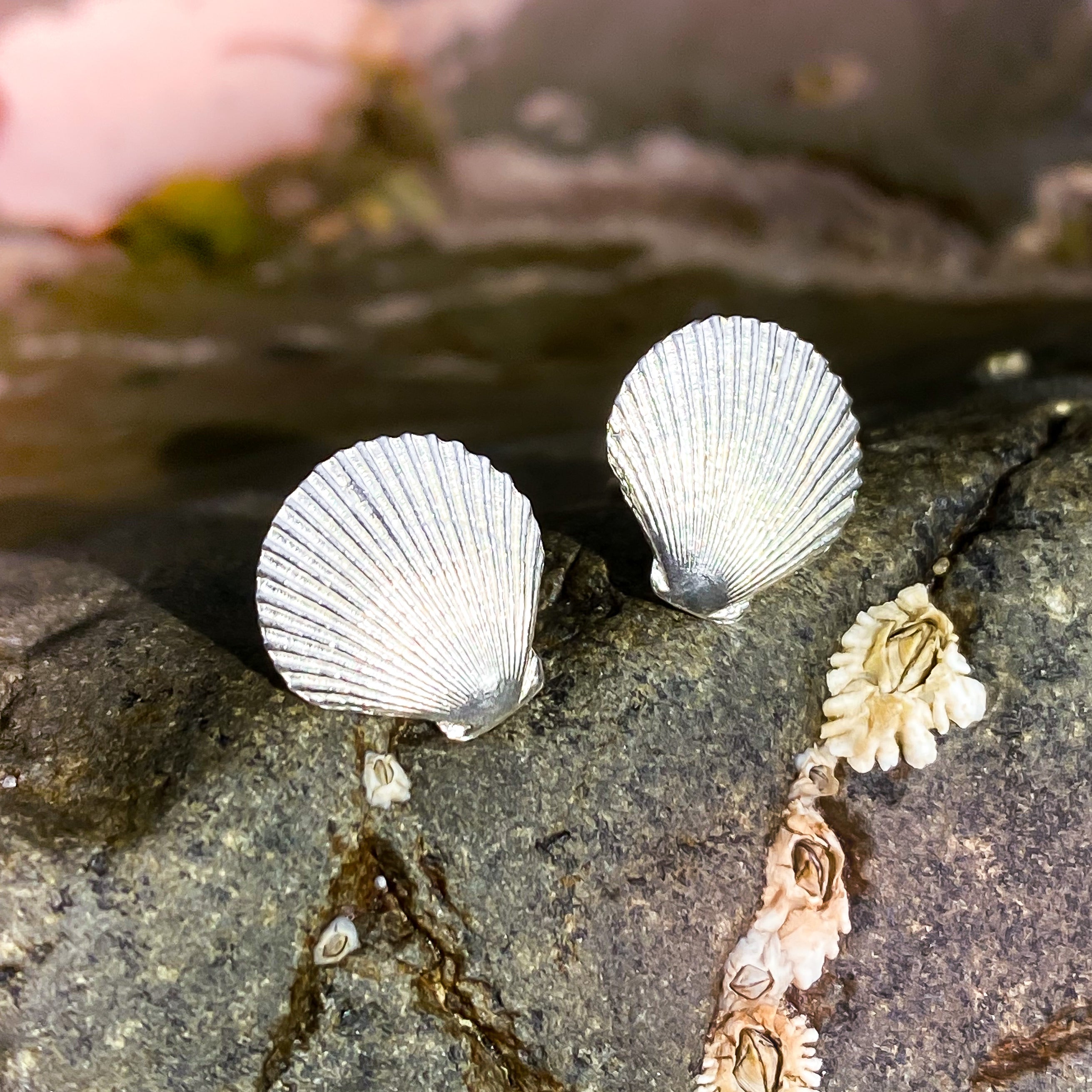 Sterling Silver Scallop Shell Earrings - Queenies