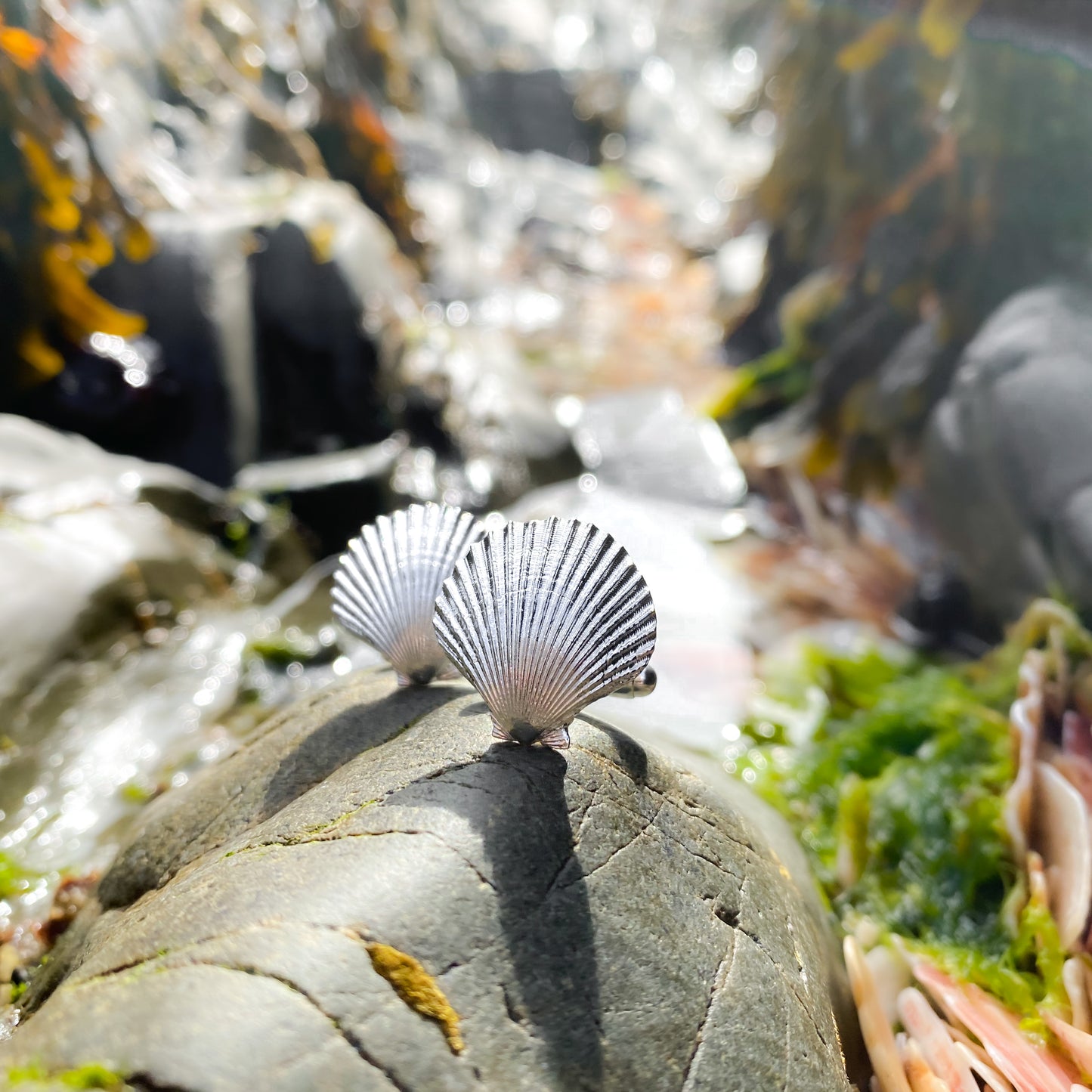 Sterling Silver Scallop Shell Cufflinks - Queenie Shells