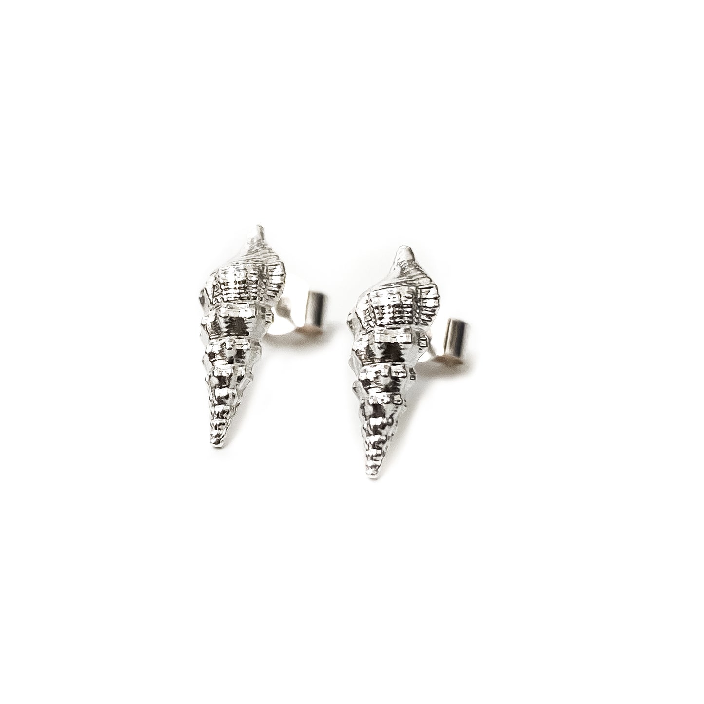 Turritella Shell Sterling Silver Stud Earrings